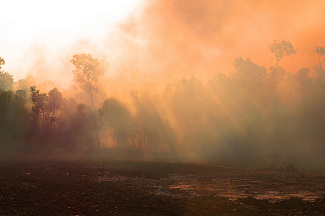 A wilderness landscape coverd in an orange haze of fire