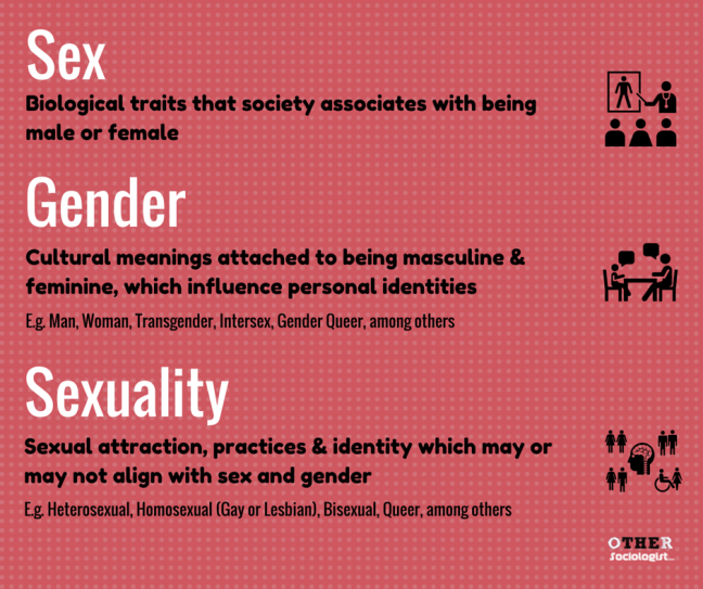 Sex, Gender and Sexuality - Sociology Definitions. By OtherSociology.com