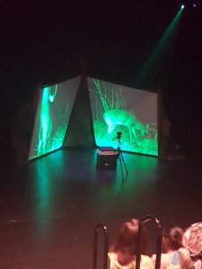 The audience can be seen in the bottom of the foreground. The stage is empty except for two large panels projecting green images of deers outdoors at night. There is an esky and tripd camera set up in the centre