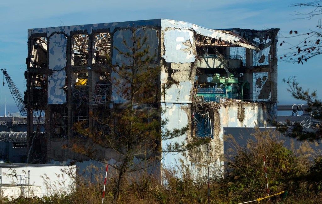 A torn building exposed to trees with entire walls missing